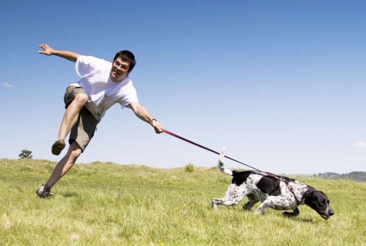 A person jumping over a dog Description automatically generated with medium confidence