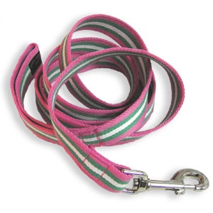 Coiled up dog leash