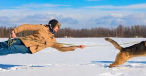 Man in the air being pulled by dog
